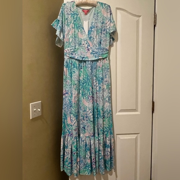 Lilly Pulitzer Dress - Picture 5 of 11
